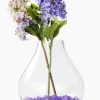 12in Tall Boheme Glass Terrarium Vase