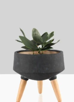 10.25in Tall Breakers Black Ceramic Planter With Beech Wood Legs