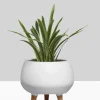 9.5in Tall Breakers Matte White Ceramic Planter With Wood Legs