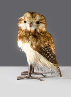 12in Tall Brown Owl