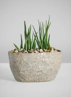 4.5in Tall Bursa Oval Taupe Ceramic Cachepot