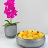 6.25in Tall Byzantine Galv Iron Pot