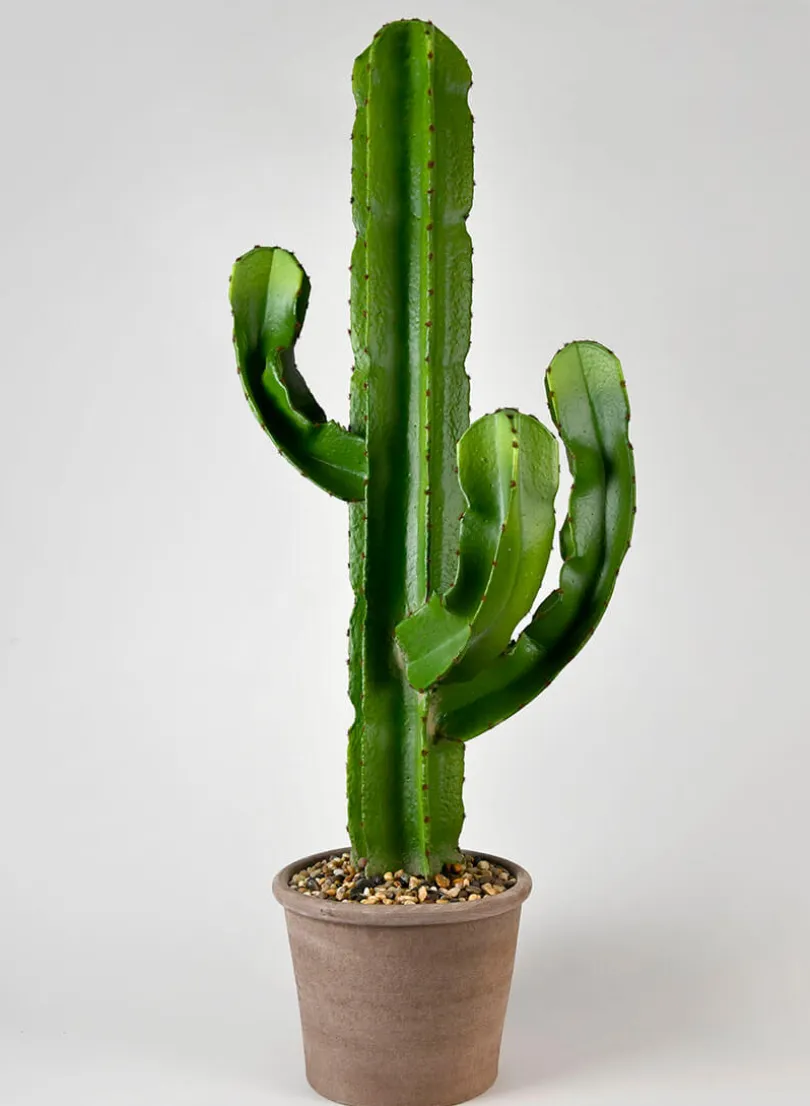 44in Tall Candelabra Cactus