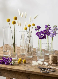 6.5in Tall Clear Glass Bottle Bud Vase, Set of 6