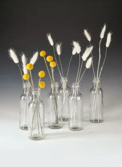 6.5in Tall Clear Glass Bottle Bud Vase, Set of 6