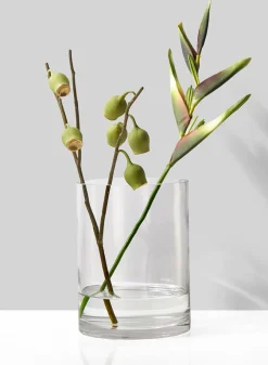 8in Tall Clear Glass Cylinder