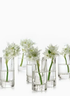 4in Tall Clear Glass Cylinder, Set of 4