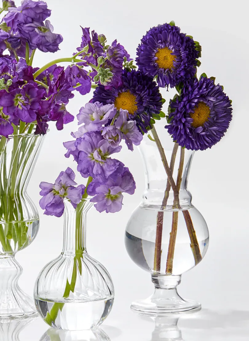 6in Tall Clear Glass Trumpet Bud Vase, Set of 2