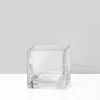 3in Tall Clear Glass Vase