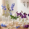 5.25in Tall Clear Pleated Glass Bottle Bud Vase, Set of 4