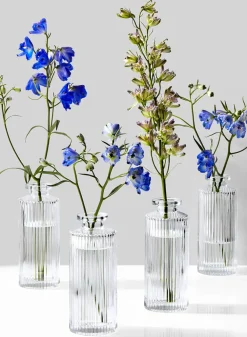 5.25in Tall Clear Pleated Glass Bottle Bud Vase, Set of 4