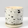 4.5in Tall Confetti Grey Ceramic Pot & Saucer
