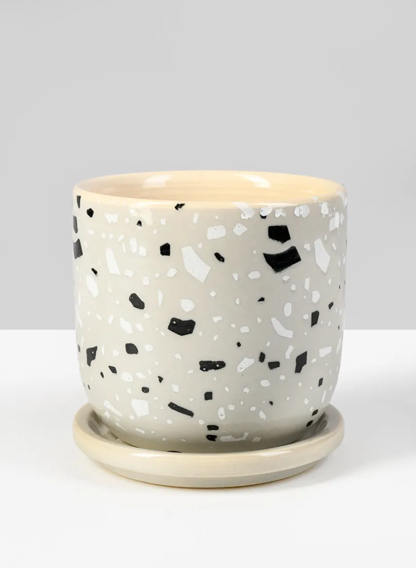 4.5in Tall Confetti Grey Ceramic Pot & Saucer