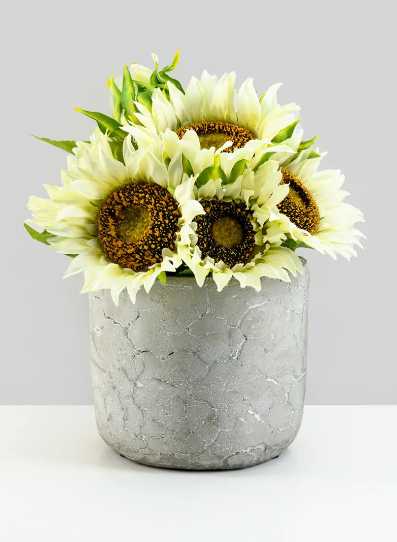5.75in Tall Crackled Cement Pot
