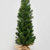 34in Tall Cypress Tree