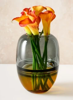 8in Tall Ecosse Dual Tone Amber and Smoke Statement Piece Glass Vase