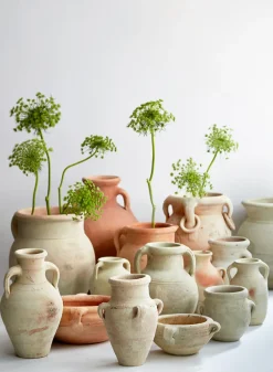 12.5in Tall Ethos Clay Jar with Handles