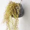 36in Tall Flocked Spanish Moss In Wall Pot