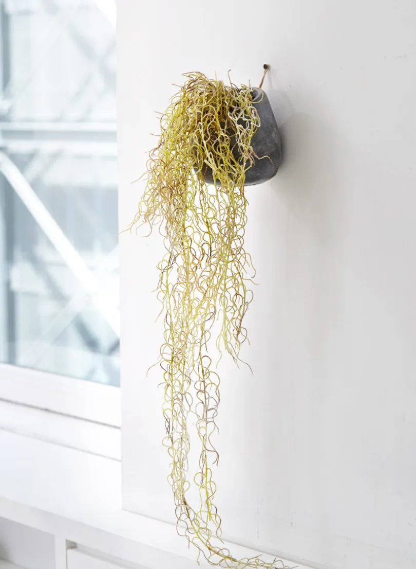 36in Tall Flocked Spanish Moss In Wall Pot