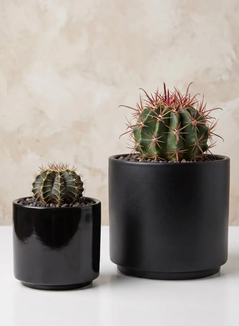 5.25in Tall Florist Choice Matte Black Ceramic Cylinder, Set of 2
