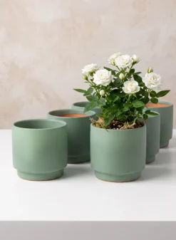 4in Tall Florist Choice Matte Teal Green Ceramic Cachepot, Set of 6