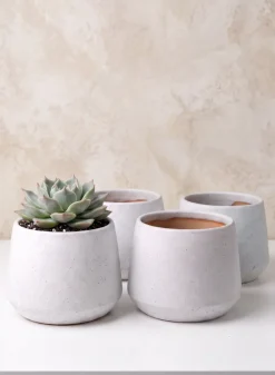 4in Tall Florist Choice Matte White Bell Ceramic Cachepot, Set of 4
