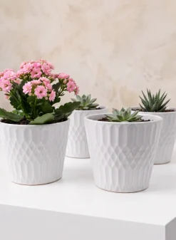 4.5in Tall Florist Choice White Ceramic Cachepot, Set of 4