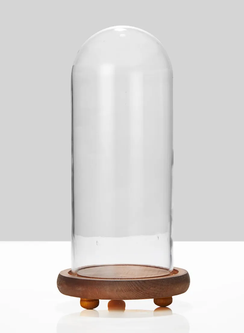 13in Tall Glass Cloche On Wood Base