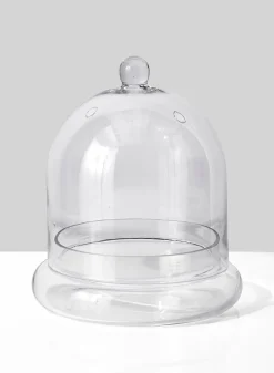9.5in Tall Glass Terrarium