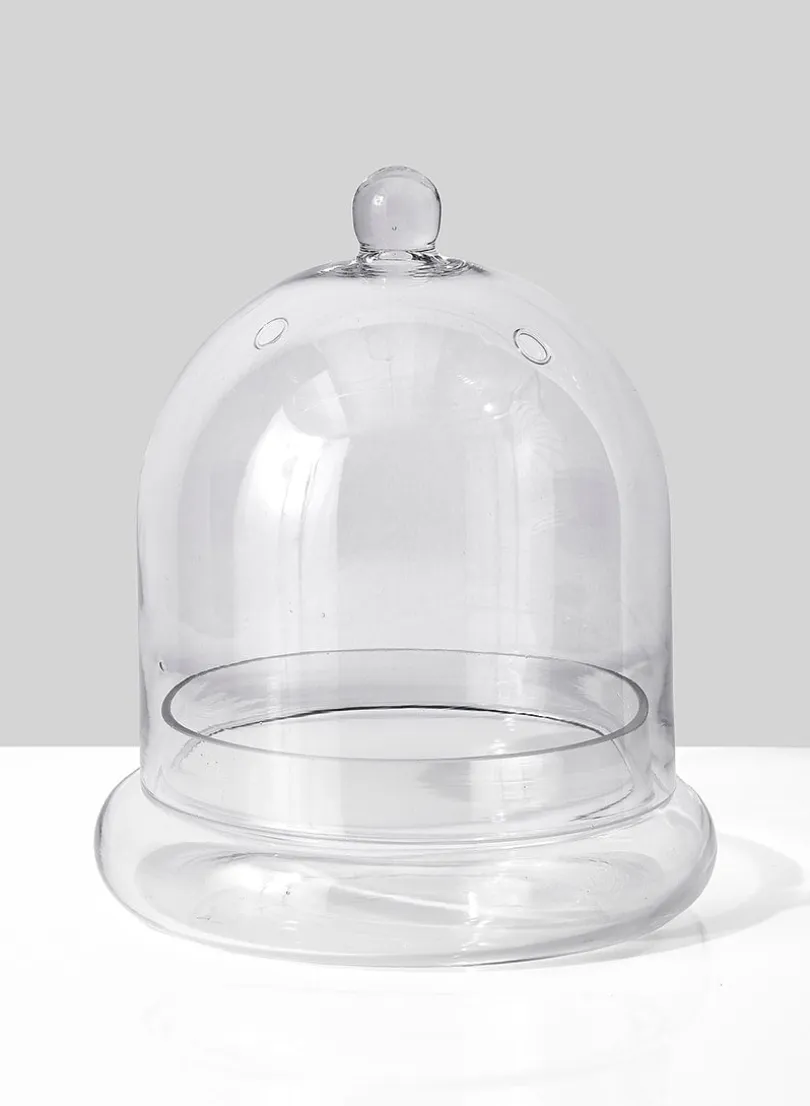 9.5in Tall Glass Terrarium