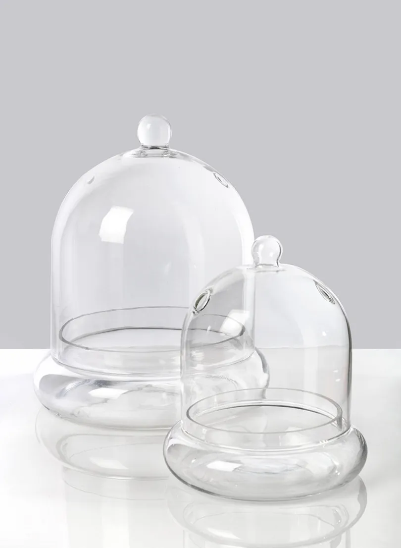 9.5in Tall Glass Terrarium