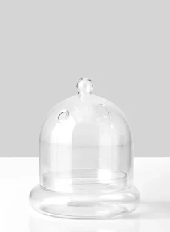 6in Tall Glass Terrarium