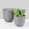 5in Tall Gojimara Cement Planter