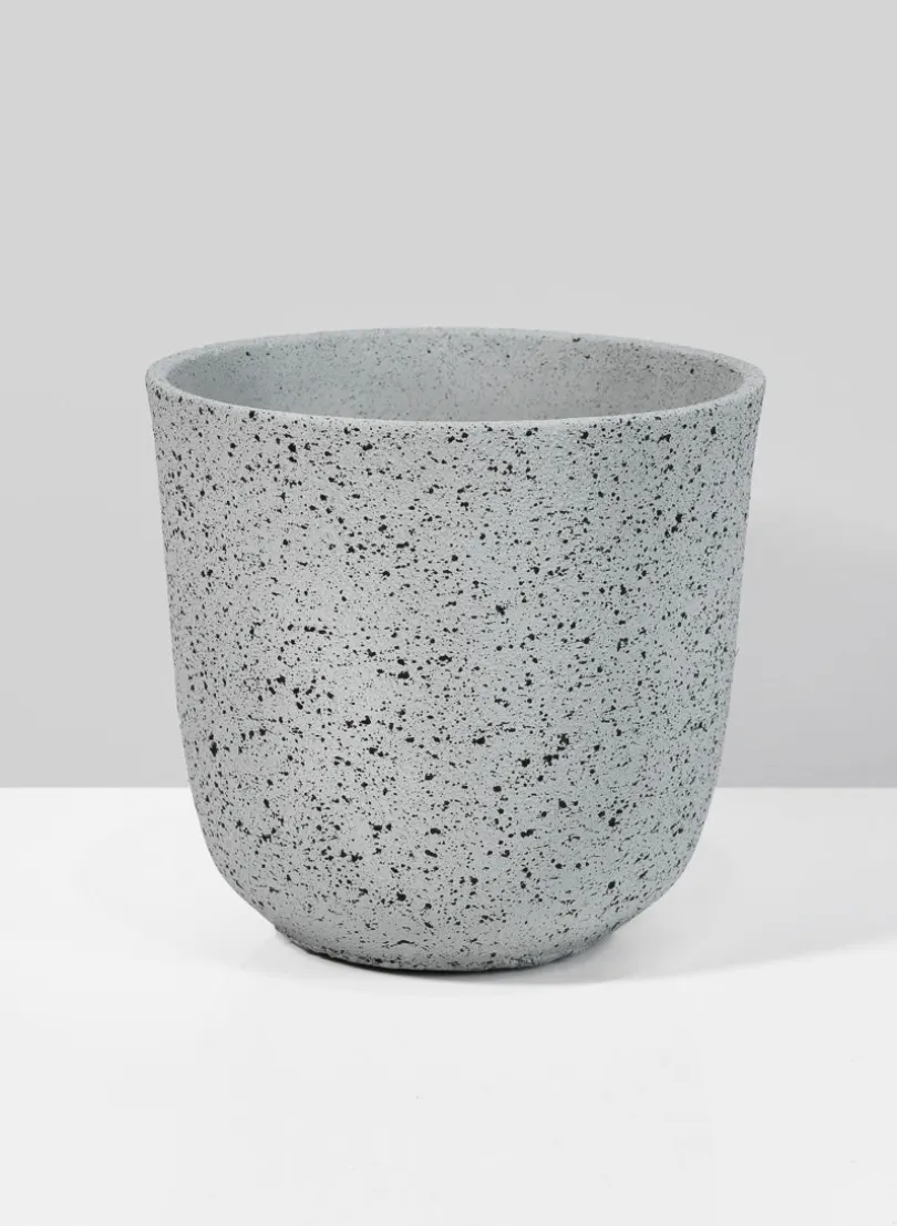 5in Tall Gojimara Cement Planter