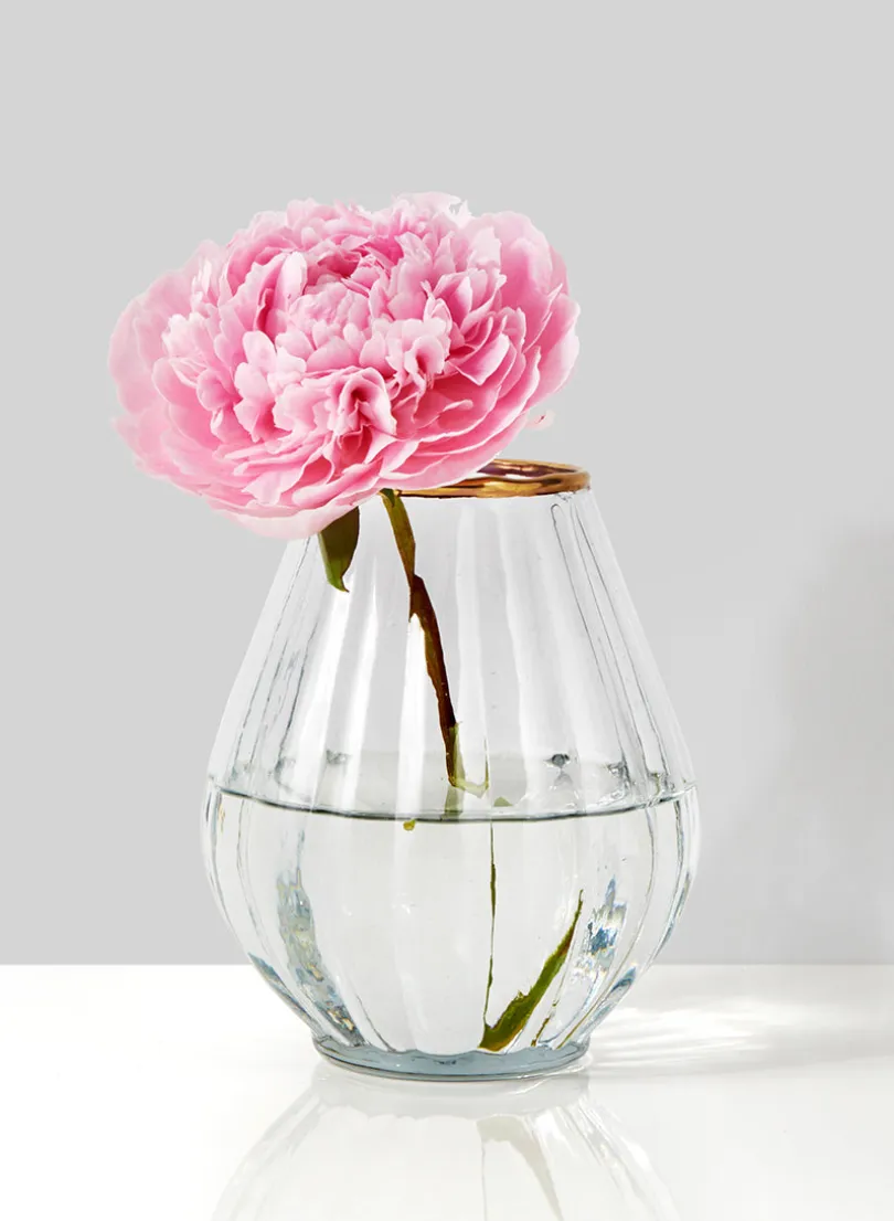 6in Tall Gold Rim Balloon Glass Vase