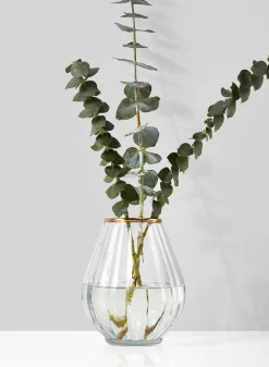 6in Tall Gold Rim Balloon Glass Vase
