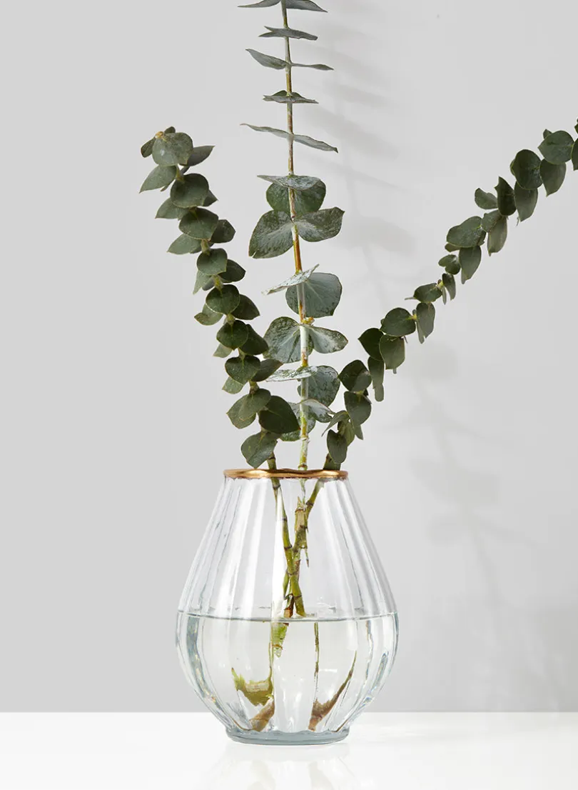 6in Tall Gold Rim Balloon Glass Vase