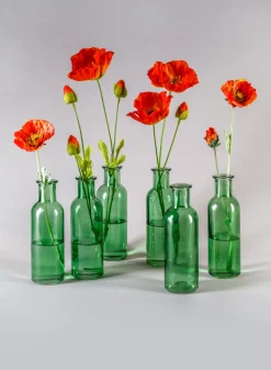 6.5in Tall Green Glass Bottle Bud Vases, Set of 6