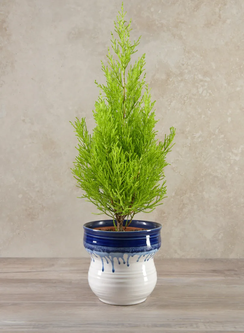 5.5in Tall Harami Running Blue Ceramic Pot