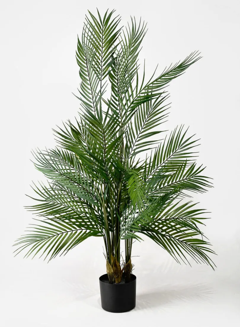 45in Tall Hawaii Kwai Palm Tree