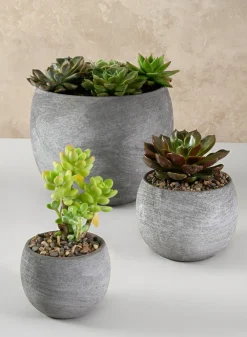 3in Tall Iquitos Venetian Grey Ceramic Mini Pot, Set of 6