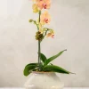 6.5in Tall Ivory Glaze Kaneshon Low Bowl Ceramic Vase