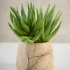 3in Tall Jaipur Forest Brown Marble Bowl