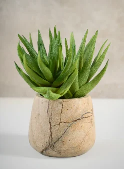 3in Tall Jaipur Forest Brown Marble Bowl