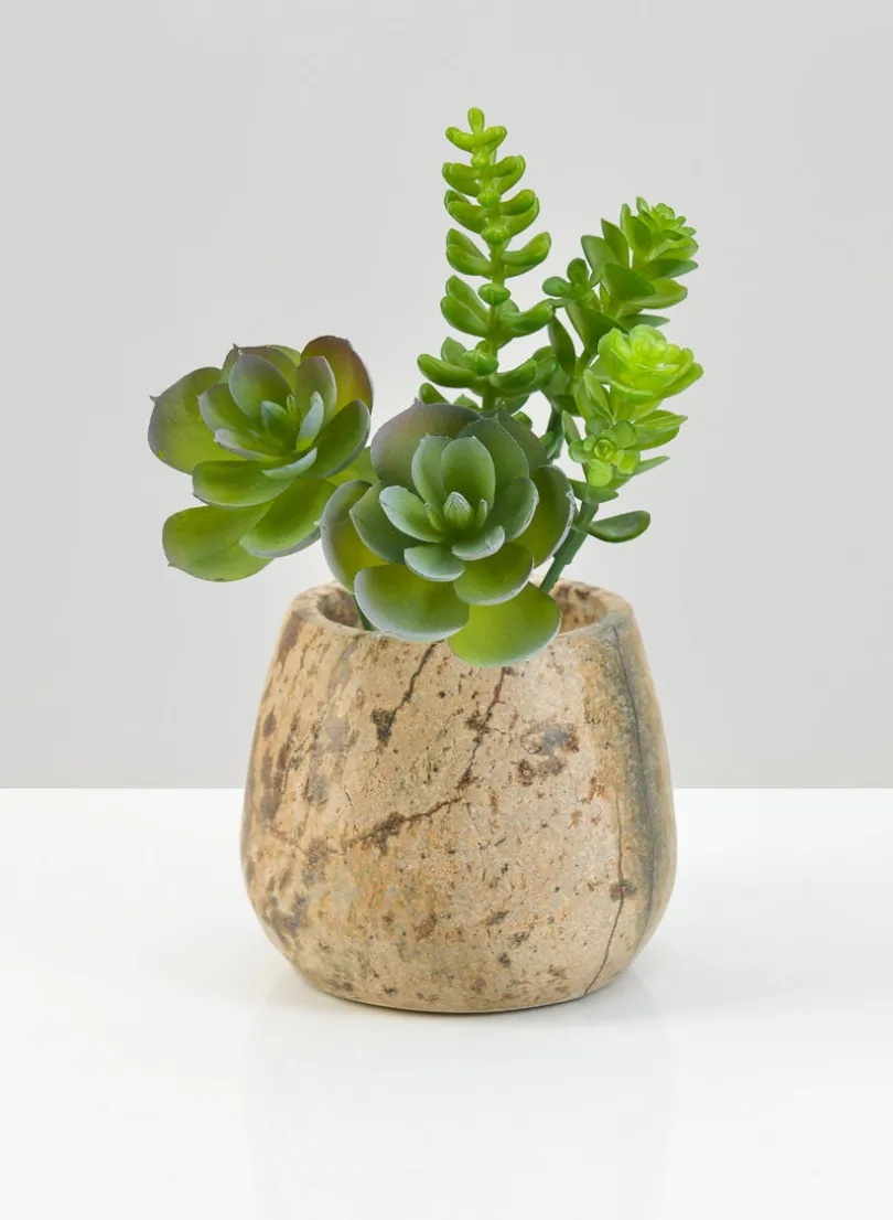 3in Tall Jaipur Forest Brown Marble Bowl