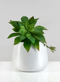 6.5in Tall Krater Aged White Artisan Pot