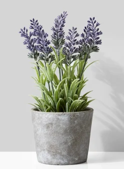 10in Tall Lavender In Cement Pot