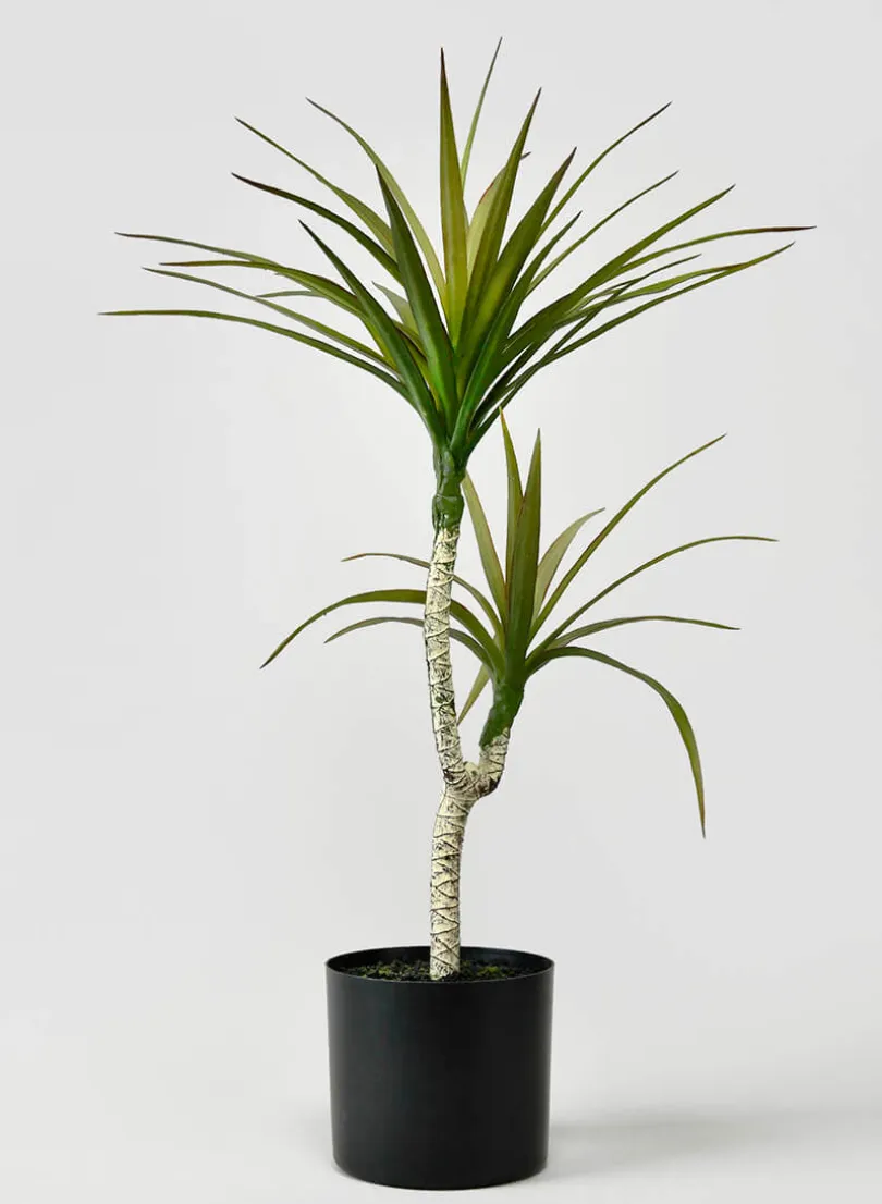 28in Tall Long Yucca Tree