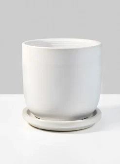 4.5in Tall Marble Aeon Ceramic Pot & Saucer