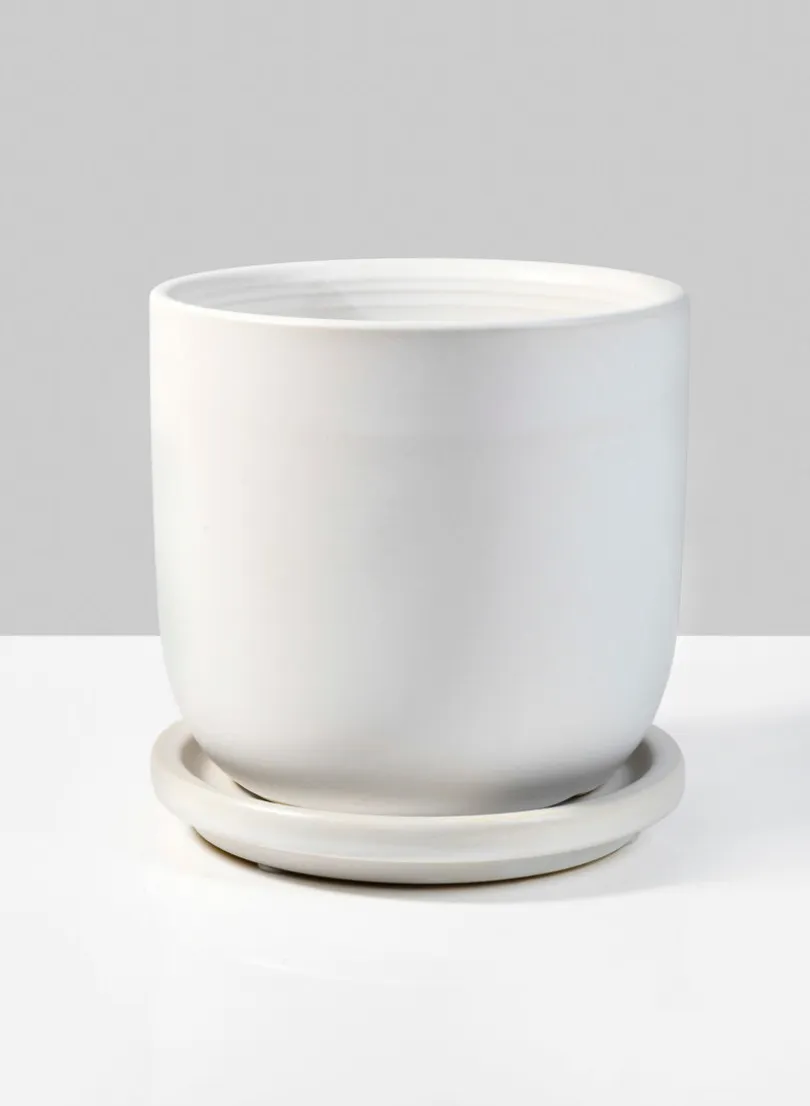 4.5in Tall Marble Aeon Ceramic Pot & Saucer